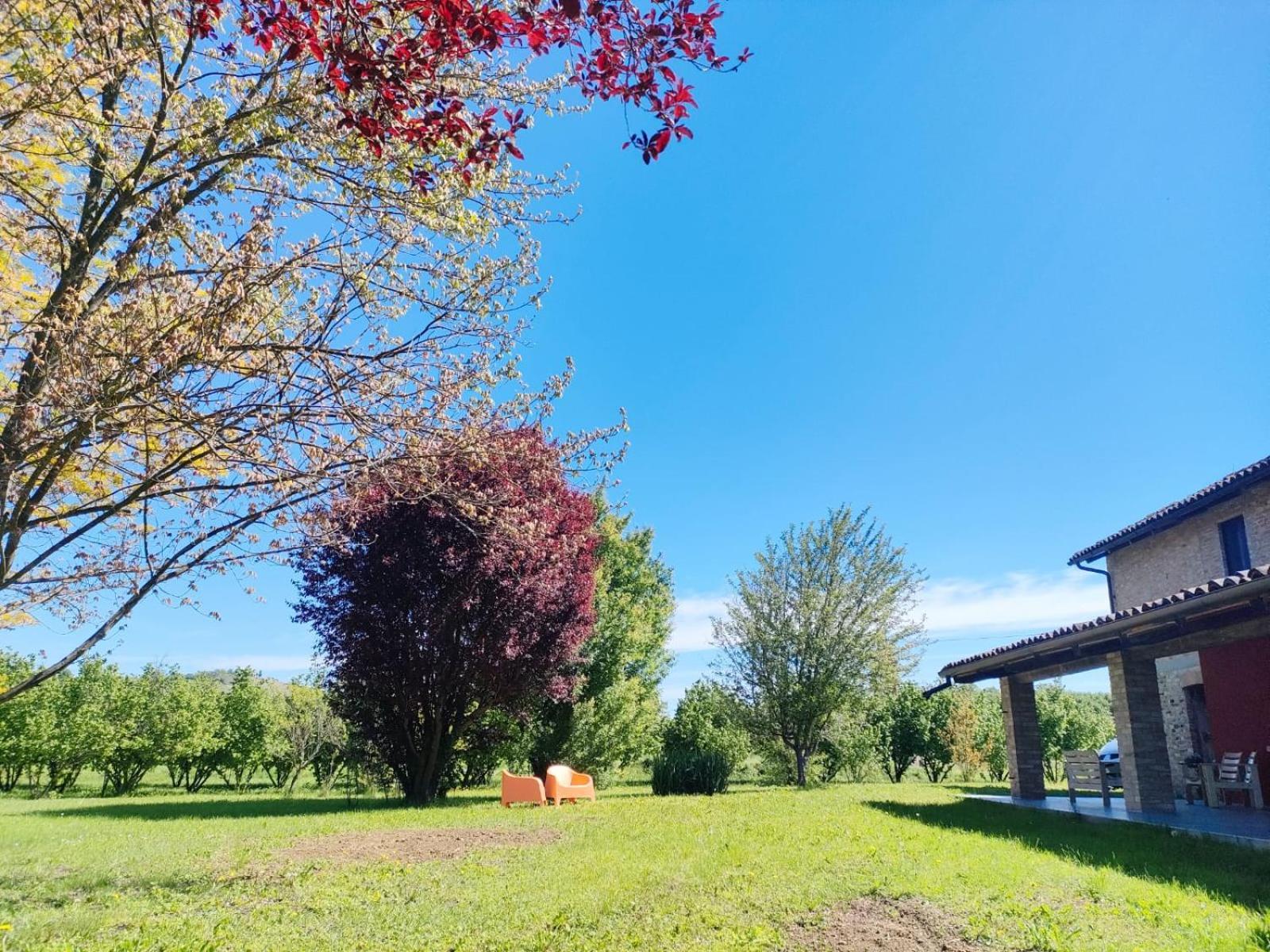 Miravigne House - Casa Di Campagna Con Cucina Castagnole delle Lanze Exteriör bild